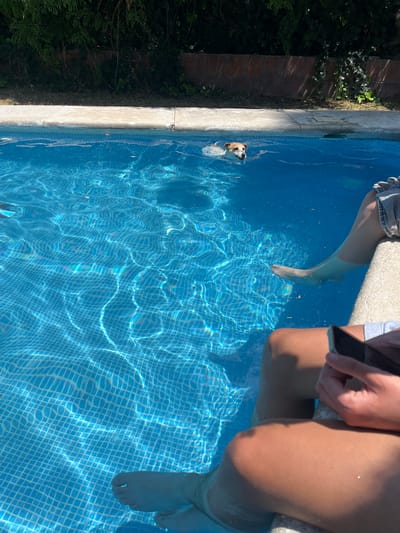 The scene depicts a swimming pool, likely located in El Oasis Valsequillo, Mexico, though this is not directly evident from the image. Two individuals are seated at the edge of the pool, their lower legs and feet submerged in the water. One person holds a smartphone in their hand. A dog is seen swimming in the pool, near the side. The pool is lined with blue tiles, creating a grid pattern under the water. Vegetation borders one side of the pool.