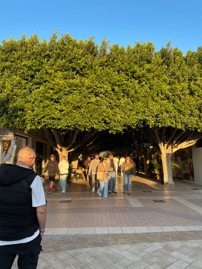 The image displays an outdoor pedestrian walkway in Marratxí, Spain, characterized by a dense, overarching canopy of green-leafed trees providing shade. Above the tree line, the sky is clear and blue. The ground is paved with light-colored, patterned tiles. The scene is illuminated by strong, warm late afternoon sunlight, casting distinct shadows.
In the foreground, a male subject, viewed from behind, wears a black puffer vest over a white t-shirt, dark trousers, and glasses. He is looking forward into the scene. In the midground, a group of approximately ten casually dressed adults, including one individual pushing a stroller, walk along the shaded path. A building facade partially visible on the left displays a "MICHAEL KORS" sign, indicating a commercial establishment. Additional commercial structures line both sides of the tree-lined thoroughfare. No specific interactions beyond collective movement are observable among the group.