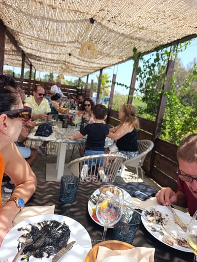 A group of people are seated at a table at an outdoor restaurant, likely in Sines, Portugal. The setting appears to be a beachside restaurant with a thatched roof overhead providing shade. The table is laden with plates of food, many of which are partially eaten, including what appears to be squid ink pasta and fish. Several drinks are also visible on the table, including wine glasses and a glass of orange juice.

In the foreground, a woman wearing sunglasses and an orange top is partially visible, looking towards the table. To her right, a man with glasses is eating from a plate. In the middle ground, a young boy in a black t-shirt and blue shorts is seated at the table, along with other adults. The people are engaged in conversation and eating.

The environment is sunny and warm, with greenery visible in the background. The table itself is a light marble pattern, and the chairs are modern plastic and metal. The overall scene depicts a casual meal at a restaurant.