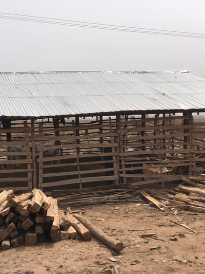 This media file, captured in Karshi, Nigeria, depicts an outdoor scene dominated by a large, utilitarian structure and a substantial woodpile.
The primary subject is a long, rectangular building, likely an animal pen or shed, located on the left side of the frame. It features a light-colored, corrugated metal roof and slatted wooden walls, allowing visibility into its interior. Within the slatted enclosure, a dark-colored animal, possibly a goat or sheep, can be discerned, along with other indistinct items like sacks or bundles. To the right of this structure, a sizable pile of cut timber, consisting of both rough-hewn logs and squared planks, rests on the ground.
The immediate surroundings consist of bare, dry earth, suggesting a dusty environment. Scattered debris, including small pieces of wood and a plastic bottle, are visible on the ground. In the upper left portion of the image, two thin power lines stretch across a bright, overcast sky.
No human activity is taking place. The scene suggests a storage or farming area, possibly for livestock and building materials or firewood.
The notable details include the bright, uniform sky, indicating an overcast day. The construction style of the building and the overall ground cover point to a rural or semi-rural setting. There is no visible text in the image.