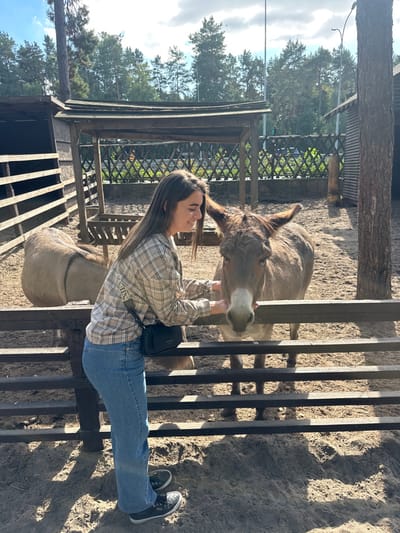 An outdoor scene in Pidhirtsi, Ukraine, depicts a young woman interacting with two donkeys within a fenced enclosure on a sunny day. The female subject, positioned on the left, has long, dark brown hair and wears a light-colored plaid shirt, blue jeans, and dark sneakers, with a black shoulder bag across her body. She extends both hands through a dark wooden fence, appearing to pet the muzzle of a light brown and grey donkey that stands facing her. A second donkey, similar in coloring, is partially visible from its hindquarters in the background on the left, near a wooden shelter. The enclosure has a dirt ground, with a larger open wooden structure and another slatted wooden shelter visible in the background. Tall pine trees form a dense backdrop, and a partly cloudy sky is overhead. Sunlight casts distinct shadows on the ground.