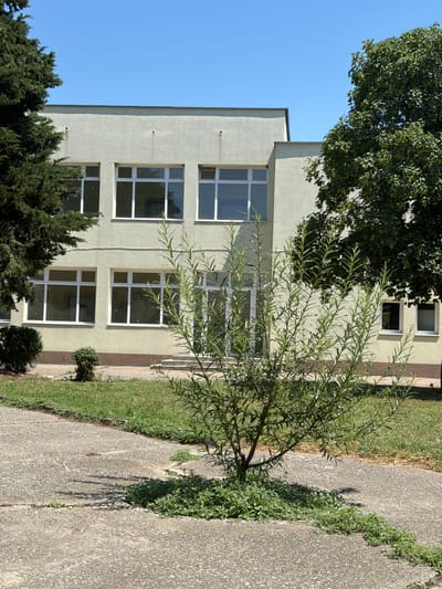 The image depicts the exterior of a light green, two-story building, likely a school or administrative facility, under a clear blue sky. The building has a modern, minimalist design with a flat roof and numerous large, white-framed windows on both levels. Green trees flank the building on the left and right sides, with the tree on the right being significantly larger and fuller. In the foreground, a concrete path with visible cracks and weeds growing through them winds through a grassy area. A young, bushy green tree stands in the middle of the path, casting a shadow. Several smaller bushes are also visible in the grassy area near the building's foundation. There are no people or animals present in the scene. The overall impression is one of a sunny day in a well-maintained, but slightly weathered, outdoor environment. This scene is located in the city of Dinkata, Bulgaria.