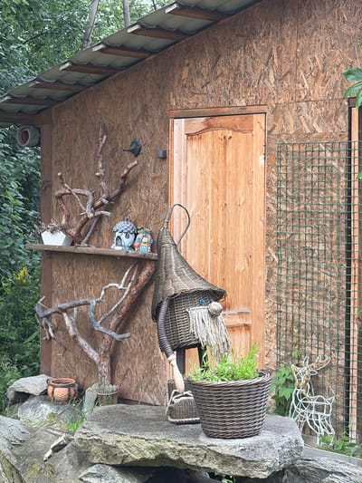 A quaint garden shed in Severka, Russia, serves as the backdrop for a collection of whimsical outdoor decorations. The shed's walls are constructed from oriented strand board (OSB), with a weathered wooden door and a corrugated metal roof supported by visible wooden beams. To the left, a white pot with dried plants sits on a wooden shelf, next to two small, fairy-tale-like houses and a decorative tree branch.
In front of the shed, a large, wicker gnome with a pointed hat and a long white beard stands guard. Beside it, a woven basket filled with vibrant green plants rests on a large, grey rock. Further to the right, a wireframe deer sculpture adds to the enchanting atmosphere, partially obscured by a green wire mesh fence. The foreground is dominated by large, weathered rocks and lush green foliage, suggesting a natural, unmanicured garden setting. The overall impression is one of a charming, slightly overgrown, and playful outdoor space.