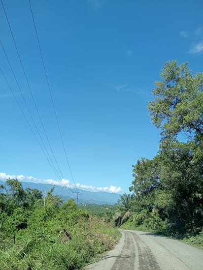 The image depicts a rural landscape, likely in or near the city of Darussalam, Indonesia, under a clear blue sky. In the foreground, a dirt road curves to the right, with tire tracks visible on its surface. Lush green vegetation lines both sides of the road, with tall grass and various trees, including palm trees, dominating the scene. In the middle ground, a power line with multiple cables stretches across the frame, supported by a utility pole. Beyond the vegetation and power lines, a range of mountains can be seen in the distance, partially obscured by haze and clouds. The overall impression is one of a remote, natural environment on a sunny day. There are no people visible in the image.