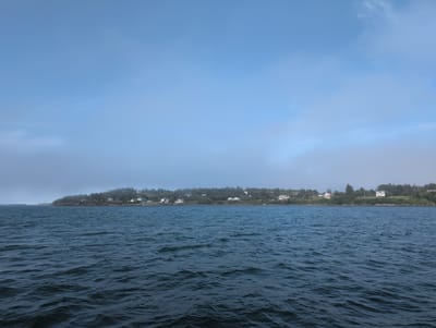 The image depicts a view of the coastline of Campobello Parish, Canada, from the water. The foreground is dominated by dark, rippling water. In the mid-ground, a tree-covered shoreline is visible, dotted with several houses. The houses appear to be primarily white with some having red roofs or accents. The background consists of a pale blue sky with wispy clouds and a hint of fog or haze near the horizon. The scene conveys a sense of a quiet, coastal settlement under an overcast or misty sky. There are no people or animals visible in the image.