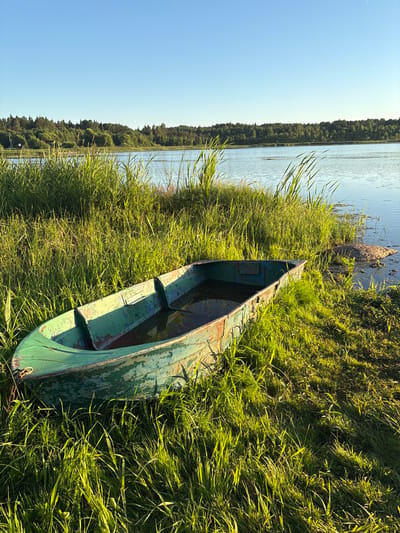 An old, weathered green rowboat rests on the grassy shore of a calm lake. The boat is partially filled with water and shows signs of age, with peeling paint and a rusted chain attached to its bow. Tall green grass surrounds the boat, and further in the background, a dense forest lines the opposite shore of the lake under a clear blue sky. The sun illuminates the scene, casting long shadows and highlighting the texture of the grass and the boat's surface. The location is the city of Chikino, Russia.