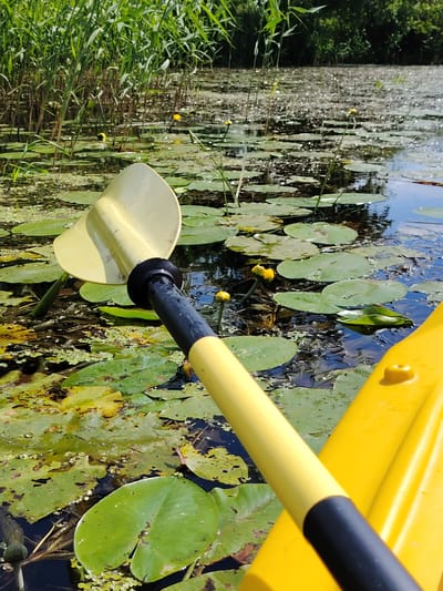 The image captures a serene scene on a body of water, likely a lake or river, with a prominent yellow kayak in the foreground. A yellow paddle, with a black grip, rests on the kayak, angled towards the water and lily pads. The water is partially covered with lush green lily pads, some with small yellow flowers emerging. Tall reeds and grasses line the far bank, suggesting a natural, possibly rural setting. The sunlight glints off the water's surface, indicating a bright, clear day. The overall atmosphere is peaceful and tranquil, evoking a sense of outdoor recreation and immersion in nature. The scene appears to be set during daytime, under pleasant weather conditions. The location context suggests this is in or around Мётчанскі сельскі Савет, Belarus. There is no visible text in the image.