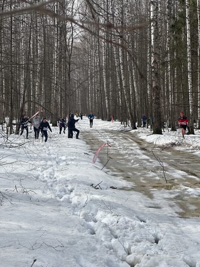 A winter scene in Zelenodolsk, Russia, shows a group of people participating in an event or race, trekking through a snowy, partially melted area alongside a birch forest. Runners are spaced out along the path, some identifiable by their race numbers. A red and white barrier tape marks a section of the course. The ground is covered with snow, showing signs of melting with water visible in some areas. Bare branches from trees are scattered in the foreground. The forest consists of tall birch trees with their characteristic white bark. The day appears bright, though the angle of the photograph suggests it might be midday.
