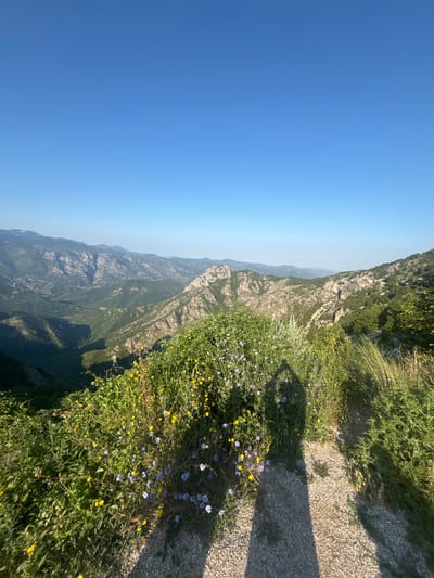 This media file depicts a scenic mountain landscape under a clear blue sky, suggesting a sunny day. The viewpoint is from a trail or elevated path, looking down into a deep, verdant valley carved between rugged, rocky mountains. The mountains are covered in dense green vegetation, with exposed rock faces revealing their geological structure.
In the foreground, along the edge of the path, is a vibrant display of wildflowers, primarily small blue and yellow blooms interspersed with green foliage. A prominent shadow of a person holding a camera or phone is cast across the path and the wildflowers, indicating the image was taken by someone standing there. The presence of the shadow suggests a midday or late afternoon time of day, given the angle of the sun.
The overall scene conveys a sense of natural beauty and tranquility, inviting exploration of the mountainous terrain. The location is identified as Kućišta, Montenegro, further contextualizing the image as a representation of the natural landscapes found in that region. There is no visible text in the media file.