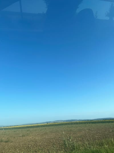 An outdoor, eye-level shot captures a vast expanse of clear blue sky. Below, a distant horizon is marked by rolling hills. In the middle ground, a vibrant field of yellow sunflowers stretches across the landscape, bordered by green grass. The foreground features a section of dry, brown earth, with scattered green vegetation. The image appears to be taken in Văratec, Romania.