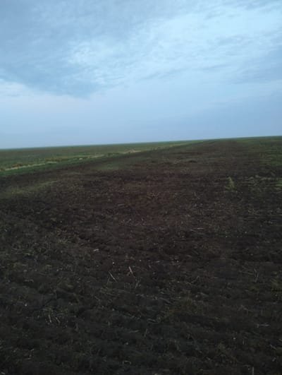 The image shows a vast, dark, tilled field under a pale, cloudy sky. The foreground is dominated by the freshly plowed earth, showing furrows and clods of dark soil mixed with remnants of vegetation. In the middle ground, the field transitions to a strip of green vegetation, possibly a field of crops or unplowed land, running horizontally across the image. Beyond this, the horizon is a soft, indistinct line where the earth meets the sky. The sky is a muted blue with streaks of white clouds, suggesting it may be early morning or late evening. There are no people, animals, or structures visible in the image. The scene appears to be a rural agricultural landscape. The location is identified as Titov, Kazakhstan.