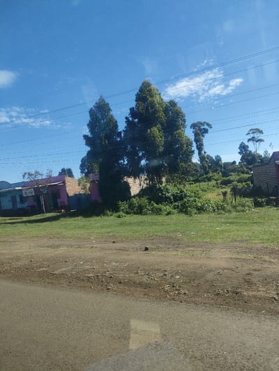 The image depicts a rural scene in a Municipality ward, Kenya. The sky is clear and blue with few clouds. Power lines stretch horizontally across the upper portion of the image. In the mid-ground, there are a cluster of buildings, some painted pink and blue. There are trees and shrubs around the buildings. The foreground consists of a dirt and gravel road.