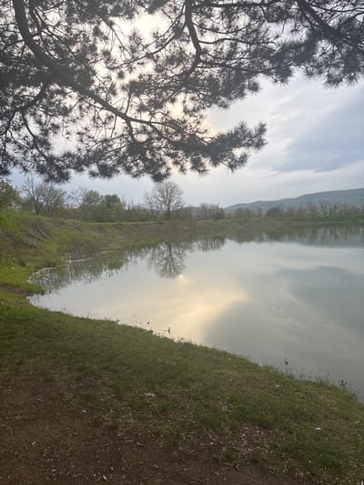 The image appears to be taken at a body of water, possibly a lake or wide river, near Liaskovo, Bulgaria. The perspective is angled, with a grassy bank and a dirt path in the foreground on the right side. A large tree with dense foliage occupies the left side. In the background across the water, there's vegetation and a low mountain range. The water reflects the sky and the landscape on the opposite side. The sky is overcast with a diffused light. There are no visible people or distinct objects beyond the natural elements.
