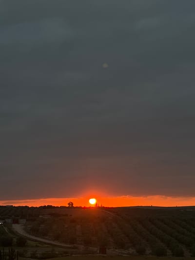 This image captures a vibrant sunset over a rural landscape in Sidi Badhaj, Morocco. The sun, a brilliant orange-yellow orb, is positioned low on the horizon, slightly to the right of the center, casting a warm glow across the scene.
The sky is dramatically colored, transitioning from a deep, dusky grey or blue in the upper left to vivid bands of orange and red along the horizon line. Some faint clouds or atmospheric haze are present, particularly in the darker upper sky, and a subtle lighter circular glow (possibly a lens flare or distant light) is visible in the dark expanse.
Below the illuminated horizon, the landscape is mostly silhouetted and appears dark, hinting at the fading light of day. On the right side of the frame, distinct rows of cultivated plants or trees, possibly an orchard or vineyard, extend across the terrain and into the distance. A winding dirt path or road is visible in the lower right quadrant, snaking through the agricultural land. Scattered small, dark structures, likely sheds or farm buildings, can be discerned near the path. A single, distinct tree stands silhouetted against the bright horizon, just to the right of the sun, adding a focal point to the natural scenery.
The overall mood is serene and picturesque, characteristic of an evening twilight. There is no visible text in the image.