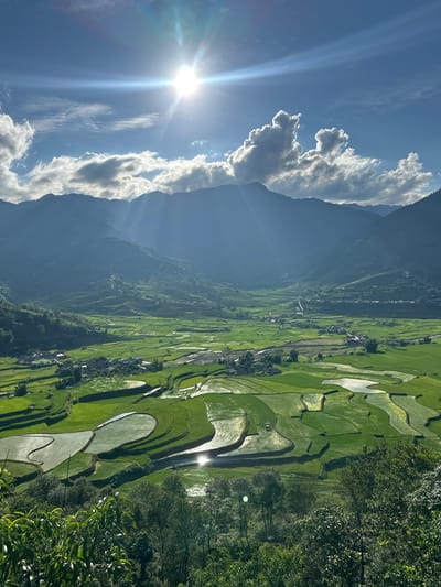The image displays a panoramic landscape of the Tú Lệ valley in Vietnam, characterized by extensive terraced rice paddies under a bright sky. The sun, positioned in the upper left quadrant, emits prominent rays that traverse the sky and extend into the valley, partially obscured by scattered cumulus clouds. Layers of forested mountains form the backdrop, appearing progressively hazier and bluer with distance. The valley floor is predominantly covered by vibrant green rice terraces, many of which are filled with water, creating reflective surfaces that capture the sunlight. Small clusters of dwellings and a winding road are visible within the agricultural landscape. A river or stream flows through the lower-middle section of the valley. The immediate foreground consists of dense, leafy green foliage. No human or animal figures are discernible.