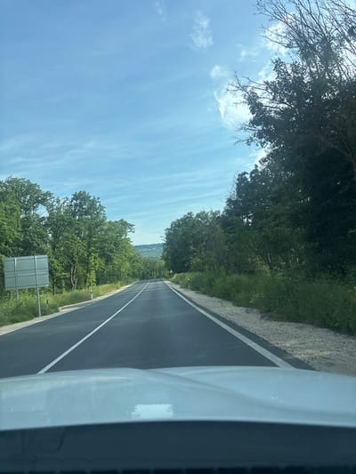 The image presents a forward-facing view from inside a light-colored vehicle, capturing a straight asphalt road extending into the distance under a blue sky with scattered white cirrus clouds. The vehicle's hood is visible across the bottom of the frame. The road surface is dark gray asphalt, bordered on the right by a solid white line and marked in the center by a broken white line. Dense green deciduous trees and overgrown vegetation line both sides of the road, forming a natural corridor. On the left shoulder, a rectangular, metallic gray sign, blank and mounted on two poles, is visible. The shoulders on both sides consist of green grass and patches of light-colored gravel. In the distance, beyond the immediate tree line, vegetated hills are visible against the horizon. A small red triangular warning sign is partially obscured on the right side of the road further down. The scene is illuminated by daylight, and no people or other vehicles are visible. This location is identified as being within the area of Tsarkva, Bulgaria.