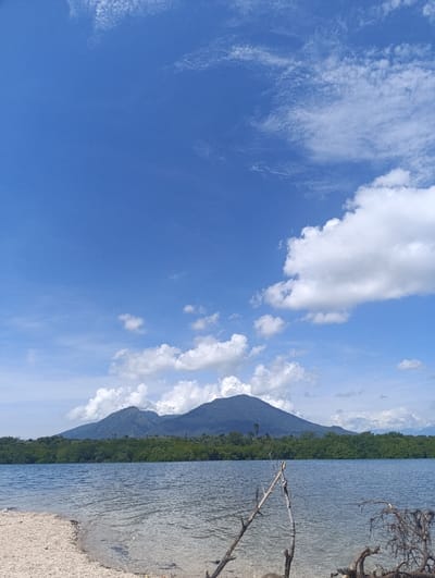 The image shows a calm body of water with a sandy shoreline in the foreground. Two pieces of driftwood are positioned in a "V" shape in the water. In the middle distance is a line of dark green trees. Two mountains rise in the distance behind the trees. The sky is a clear blue with white puffy clouds. The location is the beach of Teluk Giligenting, Kecamatan Banyuputih, Indonesia, based on coordinates -7.754, 114.367.