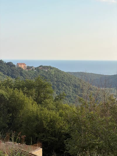 The image captures a serene landscape in Svinjišta, Montenegro, overlooking the Adriatic Sea. In the distance, on a hilltop, a cluster of buildings stands out against the lush green slopes. The most prominent structure is a multi-story building with a reddish-brown roof, appearing to be a residence or a small hotel. To its right, a smaller white building with a dome-like structure suggests a religious building or a unique architectural feature. The hills surrounding the structures are densely covered in vibrant green trees, creating a textured tapestry that leads down to the vast expanse of the calm, blue sea. The sky above is a soft gradient of pale blue, transitioning to a lighter hue near the horizon, with a hint of a wispy cloud. In the foreground, the scene is framed by the dense foliage of trees, some with bare branches, adding depth and a sense of wildness to the composition. A partial view of a construction site is visible at the bottom left, with visible rebar and concrete, indicating ongoing development in the area. The overall impression is one of natural beauty harmoniously blended with human habitation.