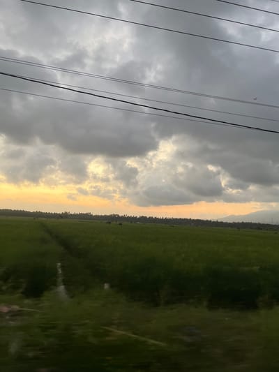 A wide shot captures a landscape in Mendoyo, Indonesia, under a dramatic sky. The foreground is dominated by a lush, green field, possibly rice paddies, with a narrow channel of water running through it. In the distance, a line of palm trees marks the horizon, with faint outlines of mountains visible beyond. Overhead, dark, heavy clouds stretch across the sky, with patches of pale yellow sunlight breaking through, suggesting either dawn or dusk. Several dark, thin power lines are strung across the top of the frame. The overall impression is one of rural serenity with an impending change in weather.