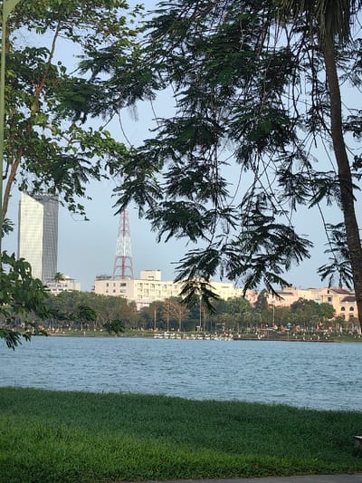The image depicts an urban waterfront scene in Thuận Hóa Ward, Vietnam, viewed from a slightly elevated position. The foreground features a strip of matted dark green grass at the bottom, directly beneath a body of water that occupies the mid-ground. The water, appearing light blue-green, exhibits minor surface ripples.
The far bank of the water reveals a paved pathway or promenade. Along this bank, numerous small, white recreational boats, consistent with paddle boats, are docked or moored. Beyond the pathway, indistinct human figures are visible, scattered across the path and adjacent grassy areas, appearing to be walking or standing. A line of trees with varying shades of green foliage separates the waterfront from the urban background.
The background skyline is dominated by urban structures under a clear, pale blue sky devoid of clouds. On the left, a tall, slender, modern skyscraper with a light-colored, reflective facade stands prominently. To the right of the skyscraper, a distinct red and white lattice transmission tower rises. Behind the tower and extending to the right, several multi-story buildings with light-colored facades and multiple windows are visible. Further to the right, additional buildings with warmer tones and architectural details are discernible.
The scene is partially framed by dark green tree foliage and branches, originating from unseen trees in the immediate foreground. These leaves and branches overhang from the top and intrude from the sides, partially obscuring portions of the sky and background buildings. A thick tree trunk is visible on the far right, and another partial trunk on the far left.