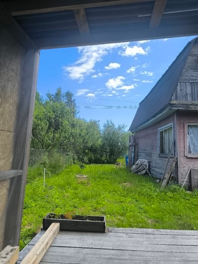 The image captures a view of a weathered, pink-painted wooden house with a dark, corrugated metal roof, situated in a lush green yard. The house appears to be in a rural or semi-rural setting, with a dense line of trees forming a backdrop. The yard is overgrown with tall grass, suggesting a natural, untamed environment. In the foreground, a wooden deck or porch is visible, with planks laid out and a wooden beam placed across them. A dark wooden planter box sits on the deck, containing some small plants, possibly flowers or herbs.

To the left of the frame, a portion of an unfinished structure with plywood walls is present, framing the view of the yard and house. A chain-link fence runs along the edge of the yard, partially obscured by the tall grass. Several wooden planks and debris are piled near the side of the house. A blue barrel is visible behind some of the debris. Overhead, a bright blue sky is dotted with fluffy white clouds, indicating fair weather. Several thin, dark lines, likely power or telephone wires, are strung across the sky.

The time of day appears to be daytime, likely midday or early afternoon, given the bright sunlight and clear sky. The overall impression is one of a rustic, somewhat neglected property in the countryside. There is no visible text in the image. The scene evokes a sense of peaceful solitude and the quiet beauty of nature.