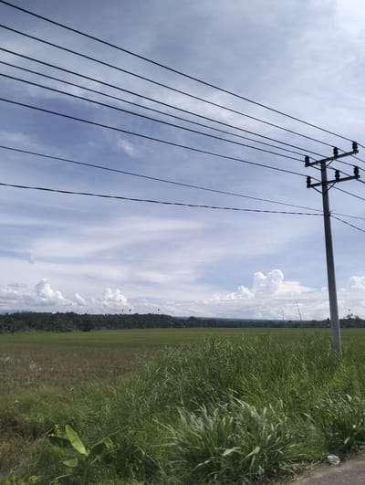 The image depicts a rural landscape in Cotentung, Indonesia, under a partly cloudy sky. In the foreground, tall green grass lines the edge of a road. A utility pole with power lines stretches across the upper portion of the frame, extending from the right side towards the left. Beyond the grass, a vast green field, possibly a rice paddy, stretches towards a tree-covered horizon. Scattered white clouds dot the bright blue sky.