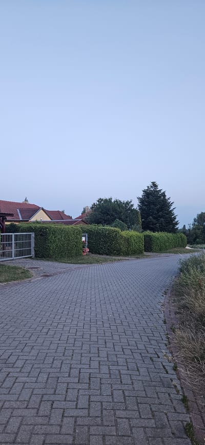 The image shows a paved road in a residential area. The road surface is made of interlocking gray concrete pavers laid in a herringbone pattern. The road curves to the right. On the left side of the road, there is a metal gate leading to a property with a house visible behind a thick green hedge. The house has a red tiled roof. Further along the hedge, there is another gate with a red flower pot and pink flowers. To the right of the road, there is dry grass and some smaller green plants. In the background, there are several trees, including a tall, dark green evergreen tree, and more houses with red roofs. The sky is a pale blue and appears to be clear. The scene suggests an early morning or late evening setting due to the soft, diffused light. The location is identified as being in Hévíz, Hungary.