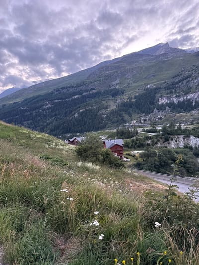 The image depicts a mountainous landscape with a winding road and several buildings. The foreground is dominated by tall, wild grass and small white wildflowers. In the mid-ground, a cluster of red buildings with dark roofs, appearing to be houses or chalets, is situated on a grassy slope. A road curves through the scene, with a metal guardrail visible alongside it. Beyond the buildings, the terrain rises steeply, covered in a dense forest of dark green pine trees, which gives way to rocky, sparsely vegetated slopes further up. The background features the imposing peak of a mountain under a cloudy sky. The location is identified as being in the city of Tignes, France.