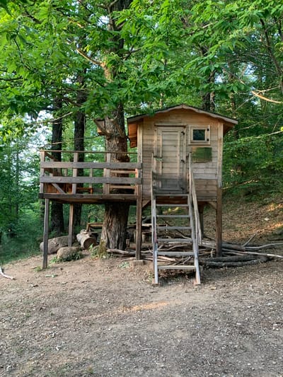 A wooden treehouse is situated in a forest clearing in Vivo d'Orcia, Italy. The treehouse is elevated on stilts and has a wooden deck with a railing. A wooden ladder leads up to the treehouse, which has a door and a small window. The surrounding area is covered in dirt and fallen leaves, with several large rocks and logs visible. The forest is dense with green trees. There are no people or animals present in the image.