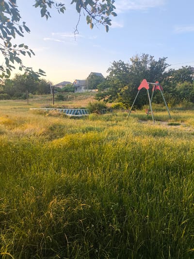 A low-angle shot captures a sunlit, overgrown playground in Maximovca, Moldova. The playground features a weathered red and green swing set with a single red seat hanging. In the middle ground, a long, low structure with blue and white patterned elements sits in the tall grass, possibly part of a defunct sports facility like a volleyball court. A simple white goalpost stands behind it. The scene is set in a rural area, with houses and trees visible in the background under a pale blue sky with wispy clouds. The time of day appears to be late afternoon or early evening, as evidenced by the warm, golden sunlight casting long shadows and highlighting the dew on the tall, wild grass. The overall mood is one of peaceful neglect and natural beauty, with the wild vegetation reclaiming the man-made structures. No text is visible in the image.