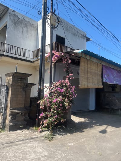 This image captures a street scene in Jembrana, Indonesia, on a clear day. The focal point is a two-story building with a white, weathered facade. A dark metal railing lines the upper balcony. In front of the building, a dense cluster of vibrant pink bougainvillea flowers spills over a covered entryway, creating a striking contrast with the architecture.
To the left, a weathered stone pillar with intricate carvings stands beside a metal gate. A dark utility pole, laden with electrical wires, is positioned prominently in the foreground. The entryway is partially obscured by a rolled-up bamboo blind and a purple banner advertising "AZIA COLLECTION JEWELRY STORIES". A metal roll-up door is visible behind the blind. The ground is paved with a rough, grey surface, showing signs of wear. Shadows from the overhead wires and the bougainvillea plant are cast across the pavement. The sky above is a clear, bright blue.