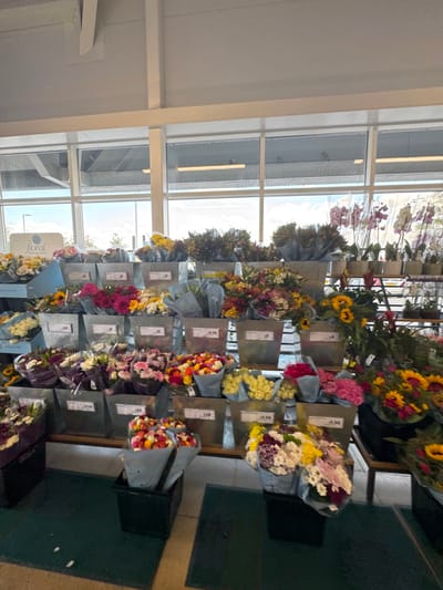 The image depicts the interior of a large retail establishment, specifically the floral department of a supermarket, located at the Sainsbury's Superstore on The Balk, Pocklington, York YO42 2QN, United Kingdom.
The primary subject is an extensive, multi-tiered display of various fresh cut flowers and potted plants. Numerous bouquets of assorted flowers, including roses, sunflowers, alstroemeria, chrysanthemums, and mixed arrangements, are presented upright in grey/silver metal buckets or galvanized steel tubs of varying sizes. Many bouquets are individually wrapped in light blue or grey protective paper/film. Rectangular white price tags with black text indicating prices in British Pounds (£4, £5, £5.50, £10) are affixed to the buckets and shelving units. On the upper left, a white sign with "floral collection" in a light blue oval logo identifies the department. In the upper right section of the display, several potted orchid plants are visible on a higher shelf.
The display is situated directly in front of a series of large, tall, multi-pane windows that span the upper portion of the background. Through these windows, an outdoor scene is visible under natural daylight, revealing a bright sky with some cloud cover, distant green foliage or trees, and the grey, industrial-style roofline and support structures of an adjacent building or part of the supermarket's exterior, possibly a covered car park area or loading bay. The ceiling inside the store is white, with visible horizontal support beams. The foreground features a dark green mat laid over a lighter floor surface. No individuals are present or engaged in any discernible actions within the captured scene.