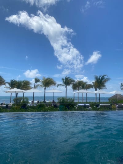 The image depicts a view of a tropical beach setting in Marina Maroma, Mexico. Palm trees line the beach with white umbrellas shading lounge chairs. The sky is blue with scattered white clouds. The turquoise water of the ocean stretches towards the horizon. A section of water is visible in the foreground, possibly a pool. There are some dark objects under the umbrellas, possibly people sitting in chairs. The image is presented with the horizon positioned vertically.