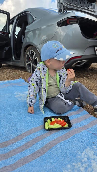 A young boy, wearing a blue cap, a grey jacket with a dinosaur print, and grey pants, sits on a blue and grey striped blanket. He is eating a piece of tomato. In front of him is a black plastic container holding sliced cucumbers and tomatoes. Behind him, a grey car is parked with its doors and trunk open. The car appears to be a sedan. The ground is covered with gravel and dirt. The sky is overcast. The scene is taking place in a natural outdoor setting, likely on the outskirts of the city of Daryino, Russia.