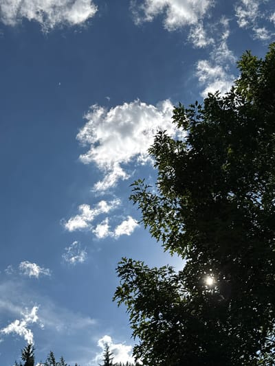 The image is a low-angle shot looking up at a bright, partly cloudy blue sky through the leaves of a tree. The sun is visible, peeking through the foliage and casting a bright glare. The tree's dark green leaves form a canopy across the top portion of the frame, with some branches extending down from the right side. Scattered white clouds drift across the sky, some appearing fluffy and cumulus-like, while others are wispy and streaky. The overall impression is of a sunny day, likely in the late morning or early afternoon given the bright sunlight. There are no people or man-made objects clearly visible, suggesting a natural outdoor setting. The location context is Červen, Belarus, which implies a temperate climate suitable for deciduous trees like the one pictured. No text is visible in the image.