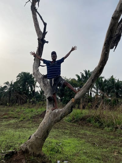 The image depicts a young person positioned on a large, fallen tree branch, likely in a rural or semi-rural environment near Agba Umana, Nigeria. The individual is wearing a blue and white striped shirt and dark shorts, with arms outstretched. The tree is bare and appears to be dead, with its trunk and branches prominently featured against the sky and surrounding vegetation. The background includes palm trees, grassy areas, and other plant life. The sky is overcast.
