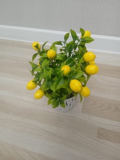 A small potted lemon tree with bright green leaves and several yellow lemons sits on a light-colored wooden floor. The pot is white with a textured, patterned design. Behind the plant, a white baseboard separates the wall from the floor. The wall has a subtle, textured wallpaper. The lighting appears to be artificial, casting a soft glow on the scene. There is no visible text in the image. The overall impression is of a neatly arranged indoor decorative plant, possibly in a home or office setting. The location context provided is Unkurgan, Uzbekistan, which offers no direct visual cues within the image itself.