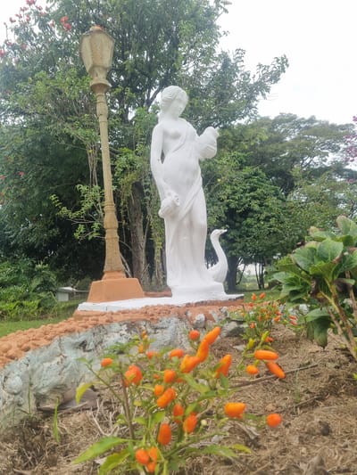 The image depicts a white statue of a woman holding a bird and standing near a street lamp. The statue is placed outdoors, with lush green foliage and trees surrounding it. In the foreground, a plant with bright orange chili peppers adds a pop of color to the scene. The background reveals more trees and a hint of sky, suggesting a bright, possibly overcast day. The overall setting appears to be a garden or park in Laranjal Paulista, Brazil. There are no visible text or specific events taking place. The atmosphere seems peaceful and serene, with the natural elements complementing the classical statue.
