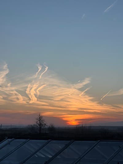 The image captures a sunset scene in Azatan, Armenia. The sky is a gradient, transitioning from blue to orange as the sun sets on the horizon. Streaks of clouds are visible, reflecting the colors of the sunset. Silhouetted against the fading light are trees and vegetation, suggesting a rural or semi-rural setting. A structure, possibly a building or greenhouse, is visible on the right side of the frame. The general atmosphere is serene and tranquil.