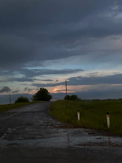 The image depicts a rural landscape in Nizhnii Koz'myash, Russia, under an overcast sky at twilight. A dark, wet asphalt road curves upwards from the foreground towards the right, disappearing over a gentle rise. Puddles and reflective patches are visible on the road surface, indicating recent rain. Green grass lines both sides of the road, extending into fields. On the left, a dense, dark green deciduous tree stands prominently further up the incline, accompanied by smaller bushes and a slender, dark utility pole. On the right side of the road, two white and red reflective road markers are embedded in the grass. The sky is predominantly covered with heavy, dark gray clouds, with hints of lighter blue, orange, and pink hues visible near the horizon, particularly towards the right side, suggesting either a late sunset or early sunrise obscured by cloud cover. No people or vehicles are present in the scene.