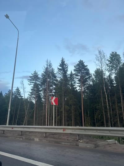 The image shows a road with a metal guardrail in the foreground. Beyond the guardrail is a dense forest of pine trees. A street lamp is visible on the left side of the image. A red and white directional sign is on a pole to the right of the street lamp, indicating a sharp left curve in the road. The sky is a pale blue with some light clouds. There are no people or animals visible in the image. The scene appears to be in a rural or semi-rural area outside of a city, as suggested by the forest and the road infrastructure. The question of the location in the city of Shchelkovo, Russia, cannot be answered from the visual information provided.