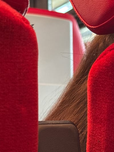This image depicts a close-up view of red, upholstered seating, likely in a public transport setting, potentially at Schwechat Airport in Schwechat, Austria, given the context. The seating is a vibrant red and appears to be covered in a soft, textured fabric. In the foreground, on the left, a large section of this red upholstery dominates the frame. To the right of this, there's a gap revealing a white surface, possibly a wall or part of the seating structure. Beyond this, long, reddish-brown hair is visible, suggesting the presence of a person. The hair appears to be slightly out of focus. Further to the right, another section of the red upholstery is visible, and at the bottom of the frame, a dark, smooth surface, likely another part of the seating or a personal item, is present. The lighting suggests an indoor environment. There is no clear indication of the specific location within Schwechat beyond a potential airport setting.
