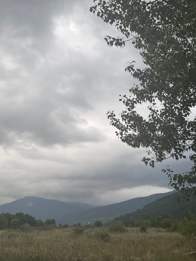 The image depicts a landscape scene in Aragvispiri, Georgia, characterized by a dramatic sky and rolling hills. In the foreground, a field of dry grass and scattered vegetation extends towards a treeline. Behind the field, a series of verdant hills and mountains dominate the midground and background. The sky is overcast with heavy, grey clouds, suggesting an impending storm or a gloomy day. A tree with dark green foliage is visible in the upper right portion of the frame, its branches reaching into the cloudy sky. The overall atmosphere is somber and natural, with no human presence or activity evident.