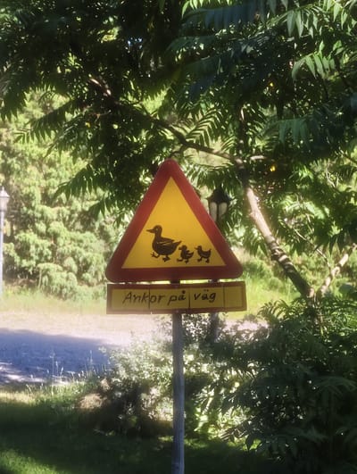 This media file shows a warning sign depicting a mother duck and three ducklings walking across a road. The sign is triangular with a red border and a yellow interior, common for warning signs. Below the pictograph is a rectangular sign with Swedish text. The sign is mounted on a pole.

The scene is outdoors, with lush green foliage from trees and bushes in the foreground and background. Sunlight filters through the leaves, creating dappled shadows. The time of day appears to be daytime, likely late morning or early afternoon, given the bright lighting and shadows. The weather seems pleasant and sunny.

The text on the lower sign reads "Ankor på väg," which translates to "Ducks on the way" in English. This text reinforces the imagery on the sign, indicating that drivers should be aware of ducks crossing the road.

The setting suggests a rural or semi-rural area, possibly near a body of water where ducks might be found, and a road or path where they could be crossing. The presence of a decorative lamp post in the background further hints at a potentially residential or park-like area. The overall impression is one of a peaceful, natural environment where wildlife encounters are possible. No people are visible in the image.