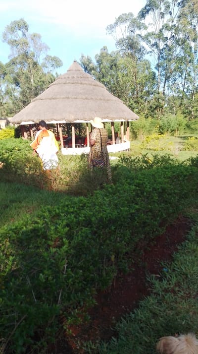 The image displays an outdoor scene in Kisa Central ward, Kenya, under a clear blue sky. In the midground, a circular gazebo-like structure with a multi-tiered conical thatched roof is prominent. The structure features wooden support pillars and a white-painted low wall or railing around its perimeter; red chairs are visible inside. Two individuals are walking away from the viewer towards this structure. The person on the left wears an orange and white garment. The person on the right wears a patterned full-length dress, a light-colored wide-brimmed hat, and carries a multi-colored woven bag slung across their back. The foreground consists of dense green shrubbery and grass, with an exposed reddish-brown earth path running through it. A light-colored, fluffy animal is partially visible in the bottom right corner of the frame. The background is filled with numerous tall, slender trees, and a dark area suggesting a body of water is visible to the right of the thatched structure.