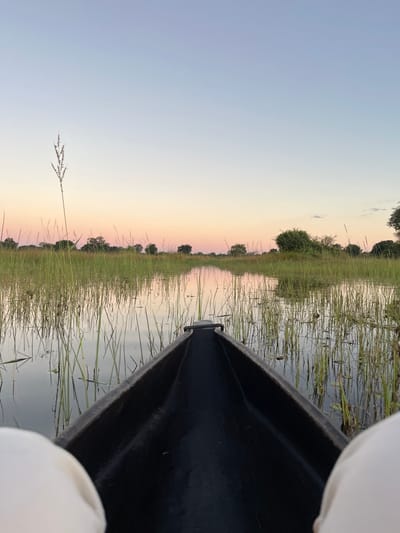 The image shows the view from a black canoe in a marshy area, likely within the Okavango Delta, which may be near Lobilos, Botswana. The canoe is positioned in the water with tall green grasses and reeds extending out of the water along the banks. The sky is a gradient of light blue and pink, indicating it is either sunrise or sunset. Part of a person, presumably the photographer, is visible at the bottom edges of the frame, wearing a white garment.