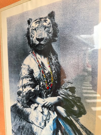 A framed monochrome print shows a tiger lying down. A strand of multi-colored rhinestones decorates the image, arcing across its body. The background is a textured grey. Elements of human portraiture, possibly a woman's face and flowing attire, are subtly integrated with the tiger's form, creating a surreal and captivating visual fusion.