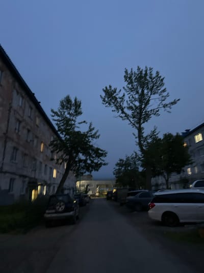 The image depicts an evening scene in an urban residential area, likely Vilyuchinsk, Russia. A long, multi-story apartment building, showing signs of wear, lines the left side of a paved street. Many windows in the building are illuminated, suggesting residents are inside. Trees, one significantly leaning into the street, grow between the building and the road. Several parked cars are visible along the right side of the street, including a dark SUV with a spare tire mounted on its rear, and a white station wagon. The sky is a deep blue, indicative of twilight or a heavily overcast day. The overall impression is of a quiet, functional residential neighborhood.