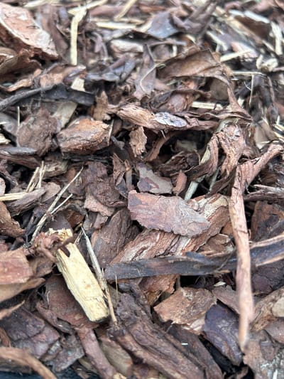 This media file is a close-up, top-down view of a pile of wood chips, likely used for mulch. The chips are various shades of brown and gray, with some appearing darker and more decayed than others. They are irregular in shape and size, with some pieces appearing flat and splintered, while others are more rounded and chunky. Interspersed with the wood chips are thin, dry, straw-like pieces, and a few lighter-colored slivers of wood that stand out against the darker background.
The lighting appears to be natural daylight, casting subtle shadows that highlight the textures and depths of the pile. The focus is sharp on the foreground elements, with a slight blur in the background, suggesting a shallow depth of field. There are no people or animals visible in the image. The scene depicts a natural, outdoor setting, consistent with a garden or landscaping area in Haaslava, Estonia. The overall impression is one of a rough, textured, and organic surface. No text is visible in the image.