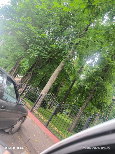 The image depicts a view of a park or tree-lined street in Vileyka, Belarus, as indicated by the timestamp and watermark. In the foreground, the left side of a dark-colored car is visible, parked on a paved surface with a red curb. Beyond the car is a black metal fence with ornate gold detailing, separating the street from a grassy area with several large trees. The trees are lush with green leaves, suggesting it is summer. The sunlight filters through the canopy, creating a bright and slightly hazy atmosphere. In the background, through the fence and trees, parts of a building and a lamppost are faintly visible. The scene is tranquil and appears to be a public outdoor space.